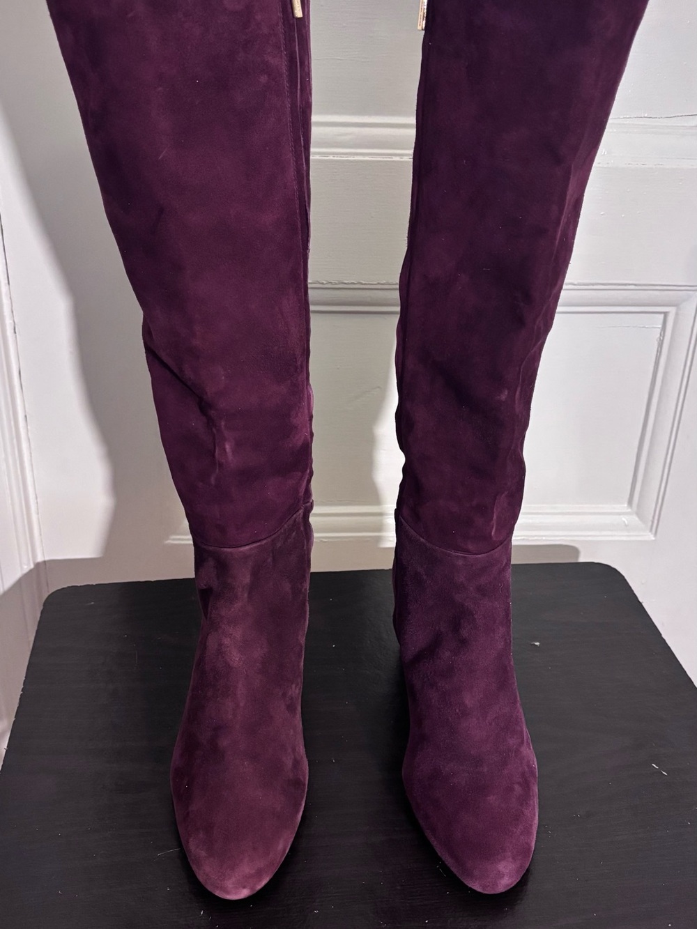 Michael Kors Suede Over-the-Knee Boots in Deep Plum